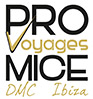 Mice Ibiza