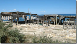 Marins Ibiza
